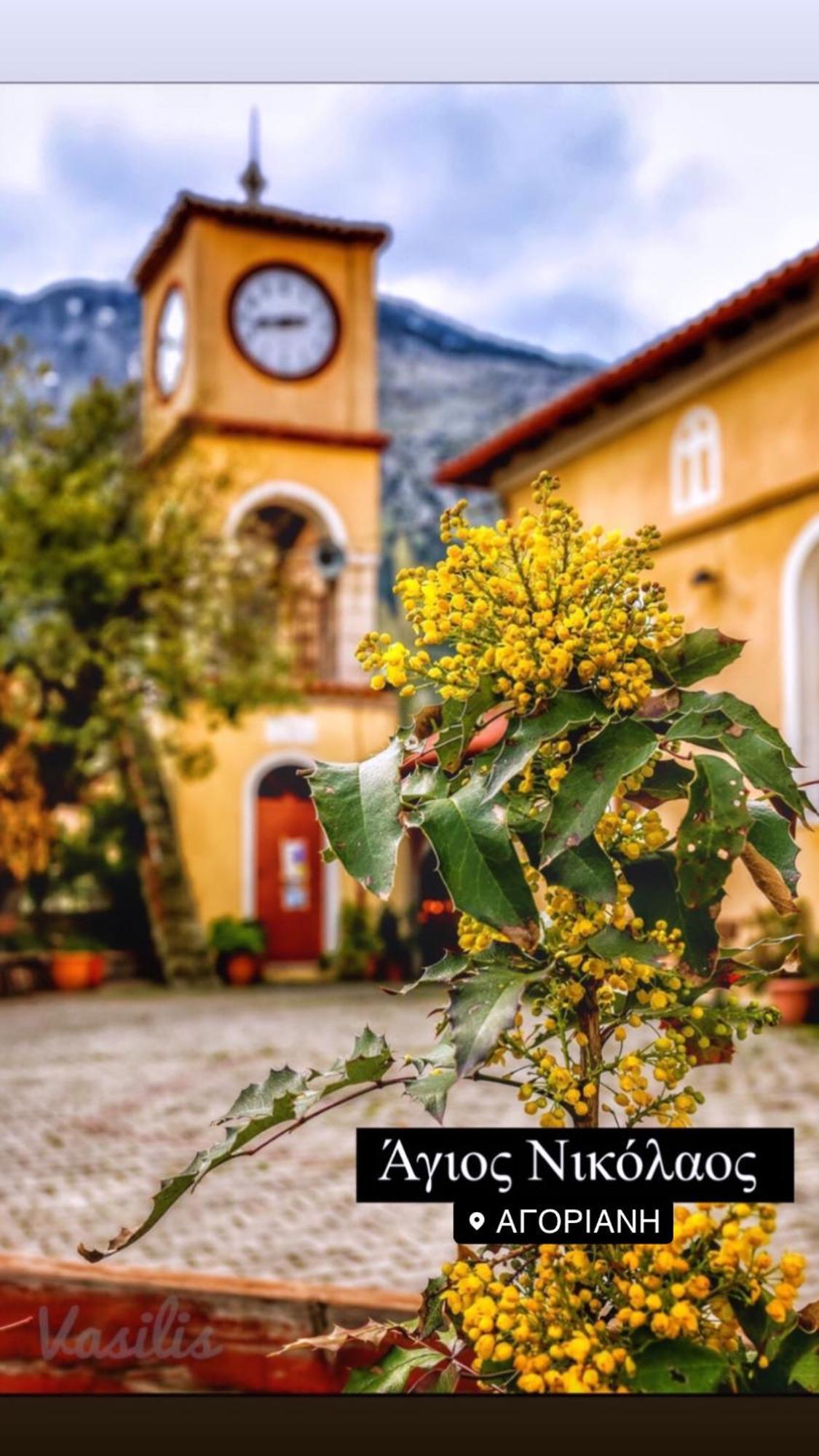 Asimina Guesthouse, Eptalofos Parnassos Luaran gambar