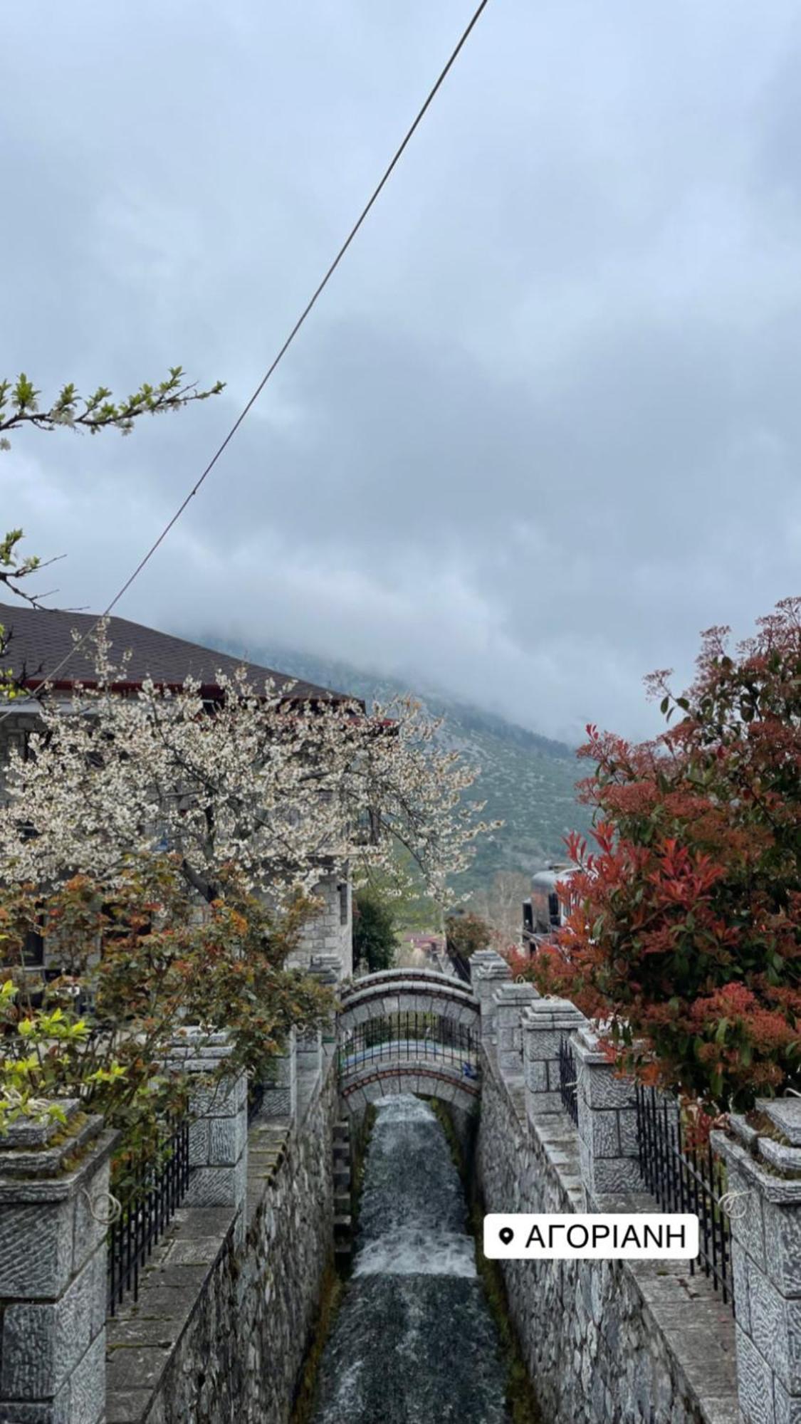 Asimina Guesthouse, Eptalofos Parnassos Luaran gambar