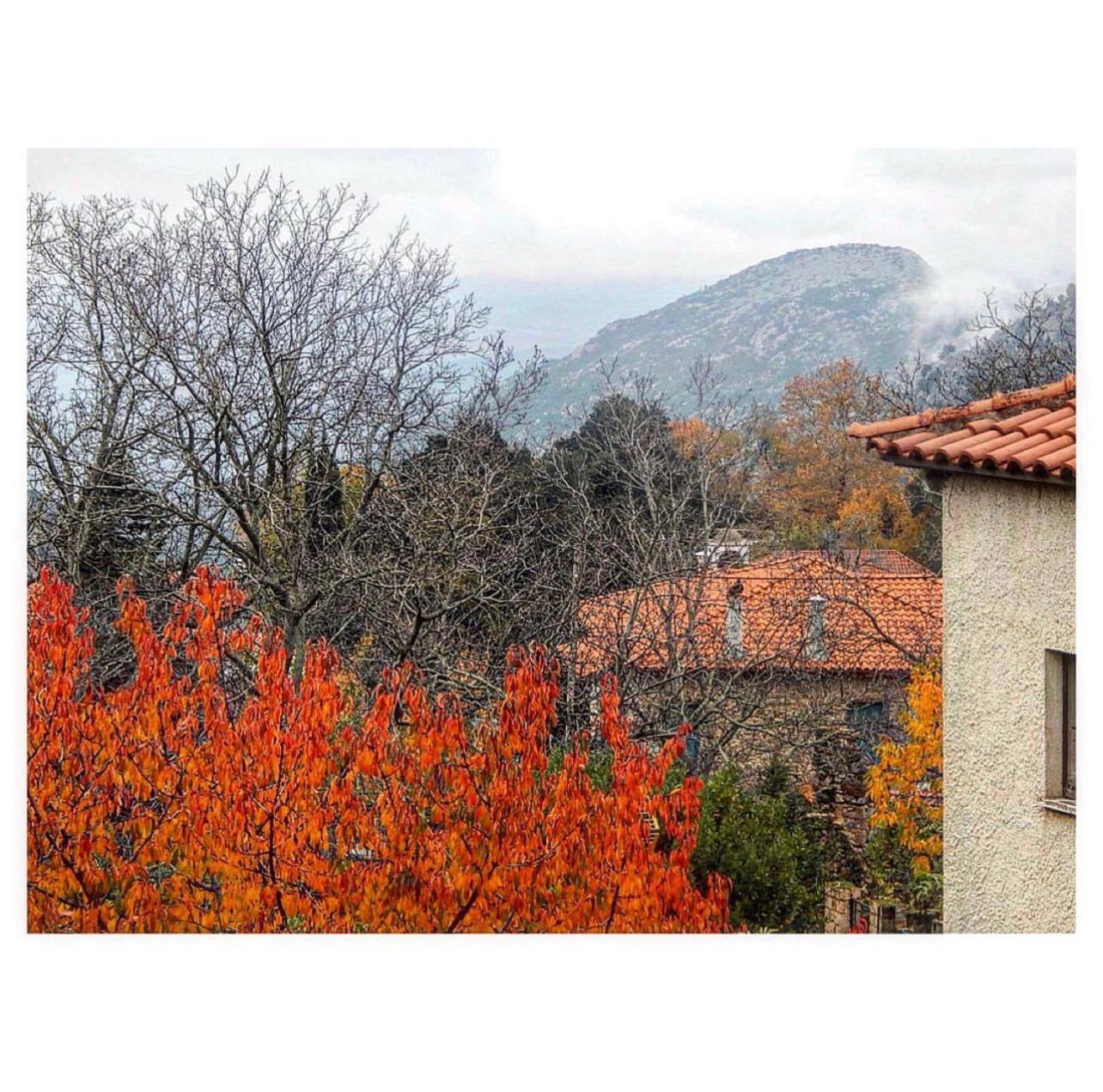 Asimina Guesthouse, Eptalofos Parnassos Luaran gambar