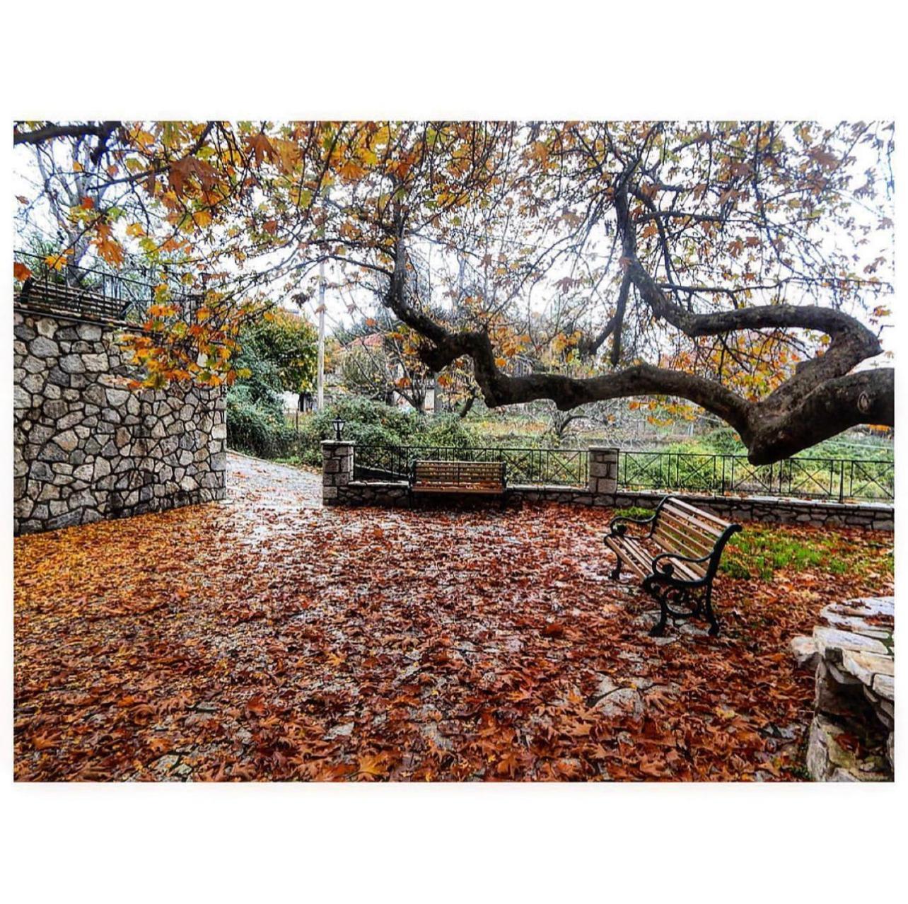 Asimina Guesthouse, Eptalofos Parnassos Luaran gambar