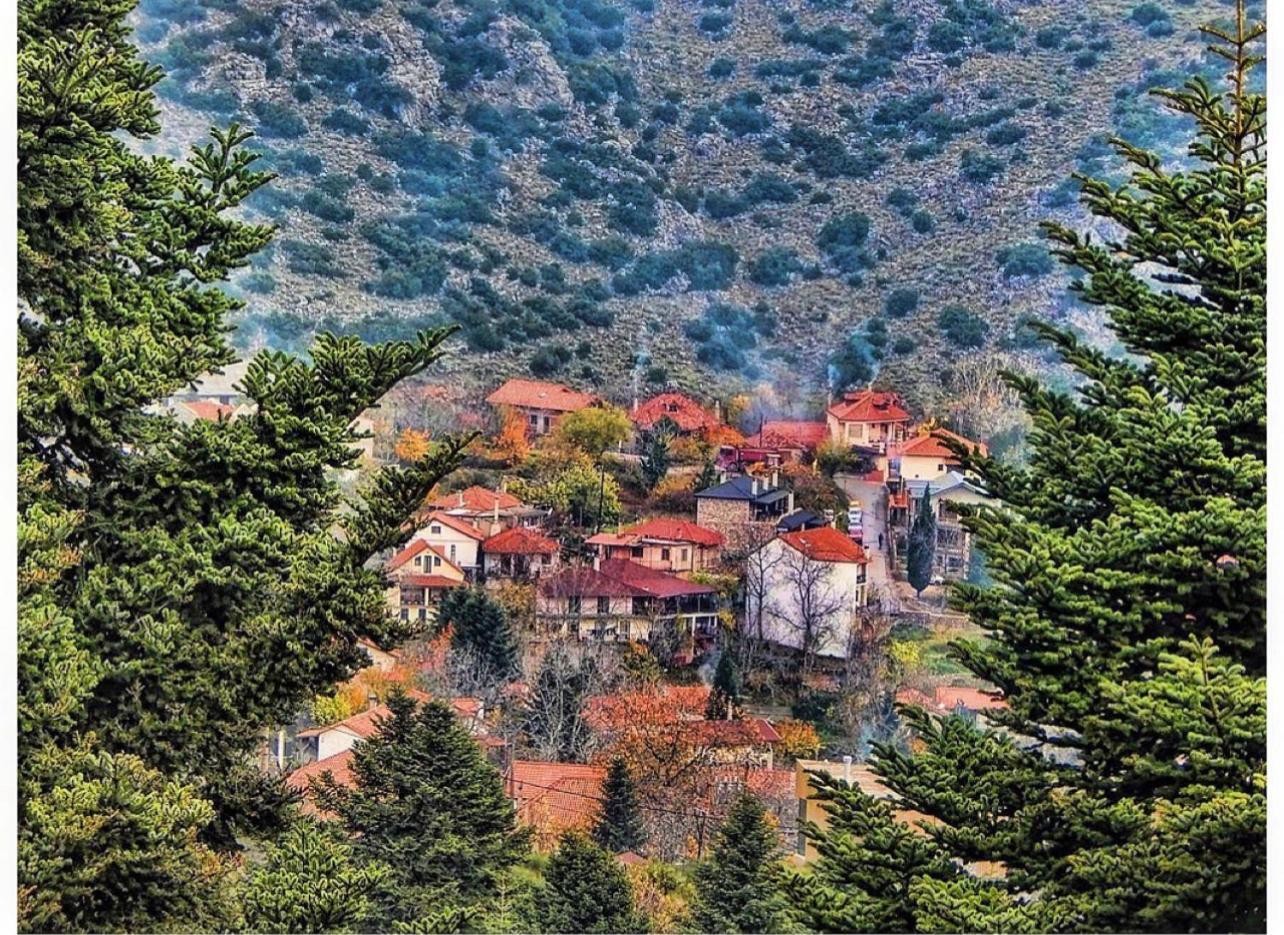 Asimina Guesthouse, Eptalofos Parnassos Luaran gambar