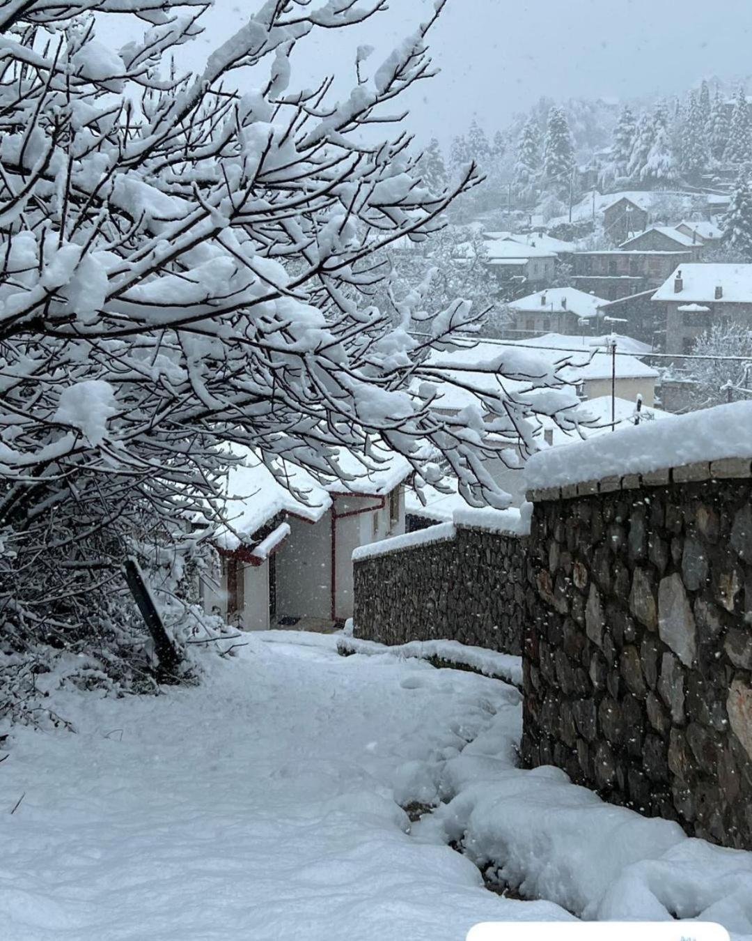 Asimina Guesthouse, Eptalofos Parnassos Luaran gambar