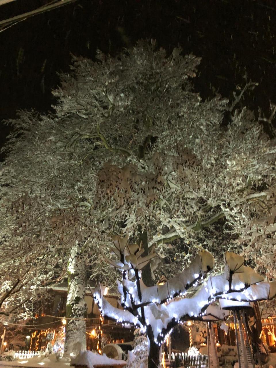 Asimina Guesthouse, Eptalofos Parnassos Luaran gambar