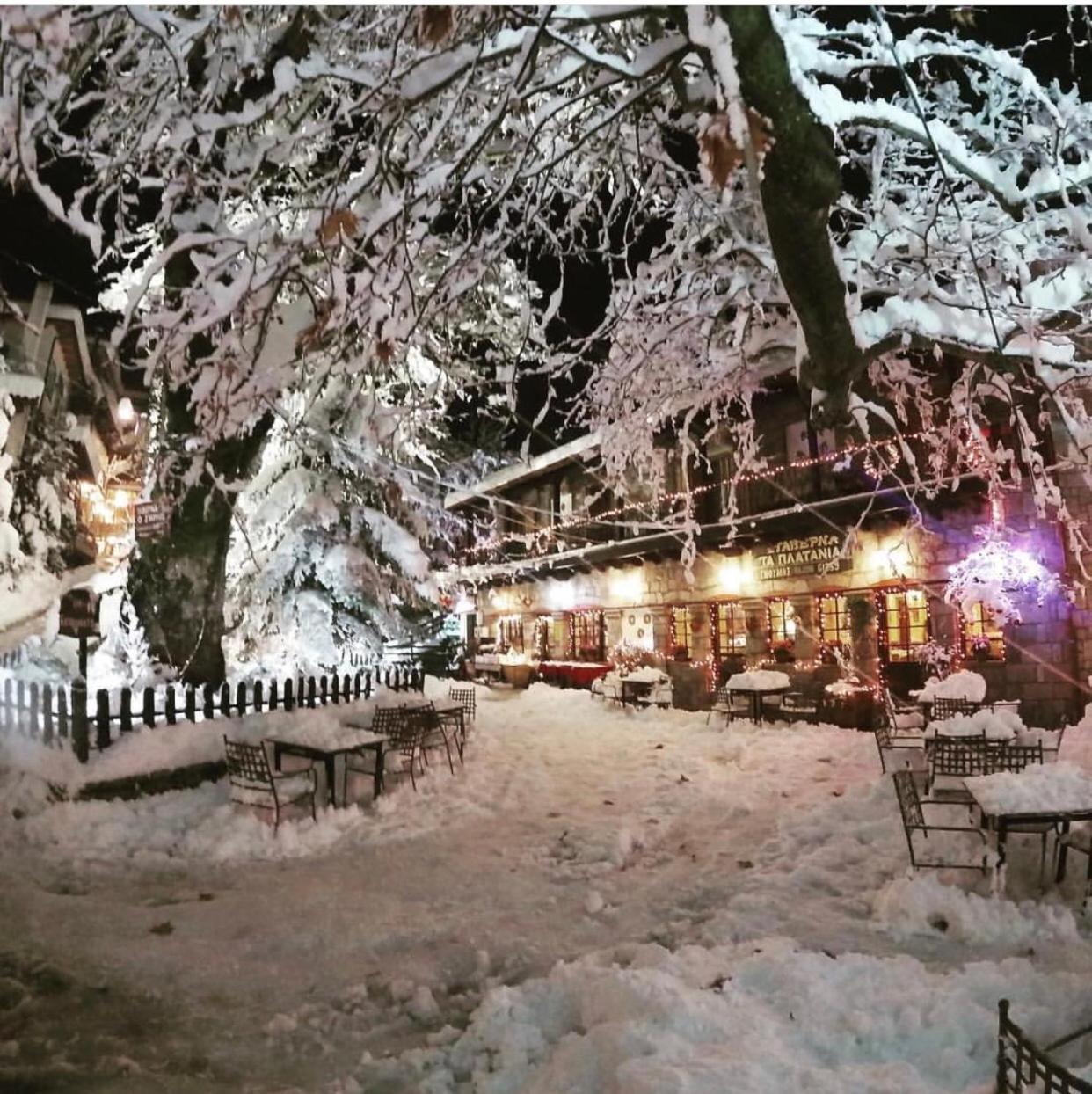 Asimina Guesthouse, Eptalofos Parnassos Luaran gambar